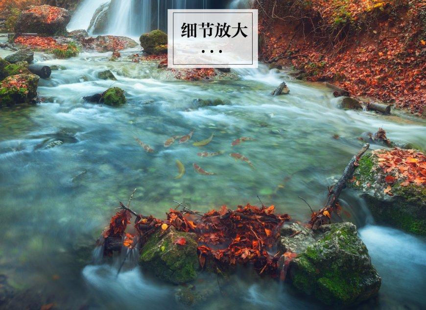 王叔叔摘了45个大小均匀的桃子，估计一下这些桃子重多少千克？游戏画面